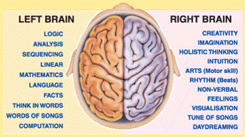 well-rounded-right-left-brain